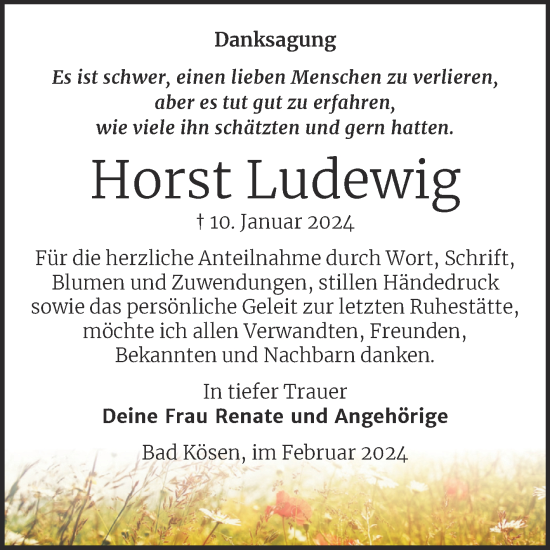 Traueranzeige von Horst Ludewig von Naumburger Tageblatt