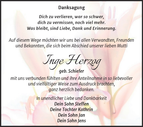 Traueranzeige von Inge Herzog von Trauerkombi Weißenfels