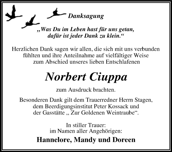Traueranzeige von Norbert Ciuppa von Trauerkombi Wittenberg