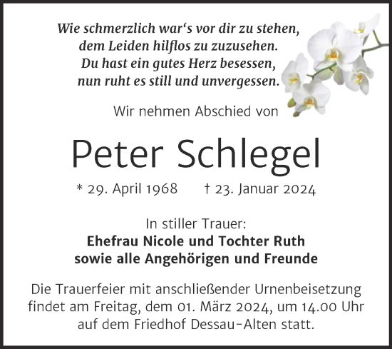 Traueranzeige von Peter Schlegel von Trauerkombi Dessau