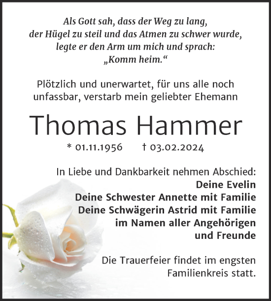 Traueranzeige von Thomas Hammer von Mitteldeutsche Zeitung Halle/Saalkreis