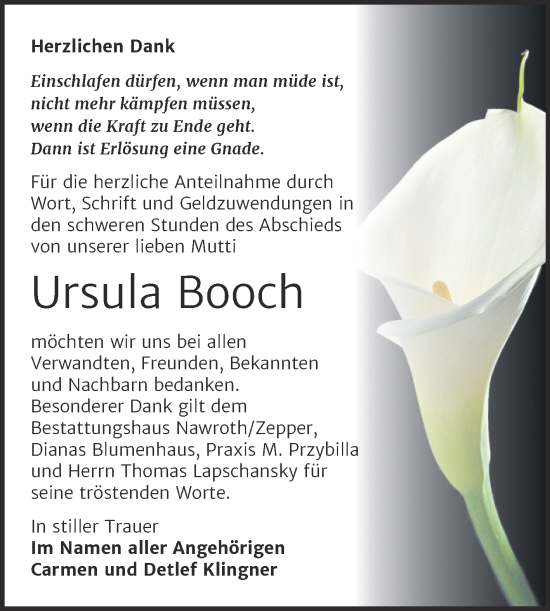 Traueranzeige von Ursula Booch von Trauerkombi Bitterfeld