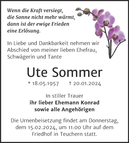 Traueranzeige von Ute Sommer von Trauerkombi Weißenfels