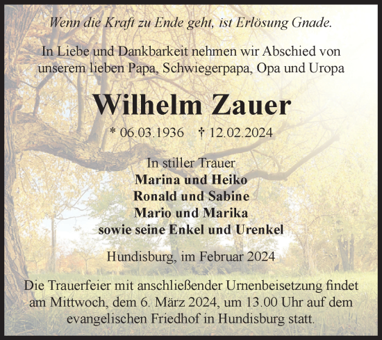 Traueranzeige von Wilhelm Zauer von Volksstimme Haldensleben/Wolmirstedt