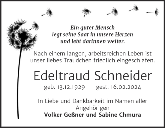 Traueranzeige von Edeltraud Schneider von Trauerkombi Sangerhausen