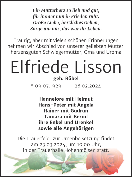 Traueranzeige von Elfriede Lisson von Trauerkombi Weißenfels