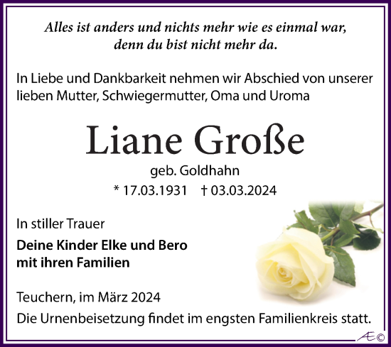 Traueranzeige von Liane Große von Trauerkombi Weißenfels