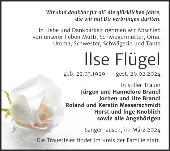 Traueranzeige von llse Flügel von Trauerkombi Sangerhausen