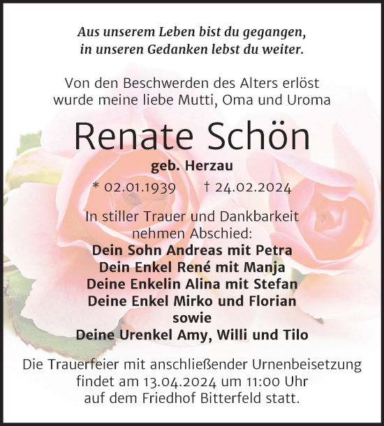 Traueranzeige von Renate Schön von Trauerkombi Bitterfeld