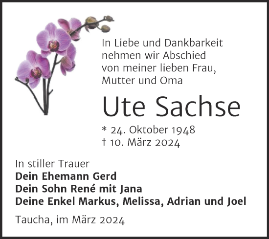 Traueranzeige von Ute Sachse von Trauerkombi Weißenfels