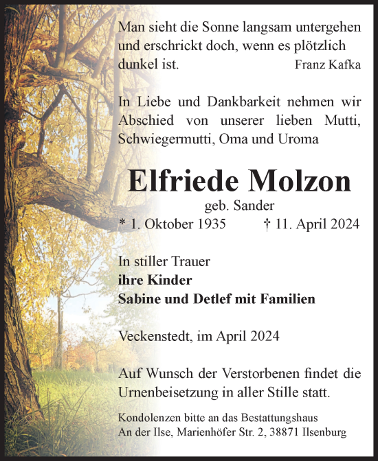 Traueranzeige von Elfriede Molzon von Volksstimme Wernigerode