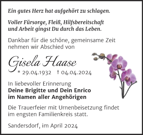 Traueranzeige von Gisela HAase von Trauerkombi Bitterfeld