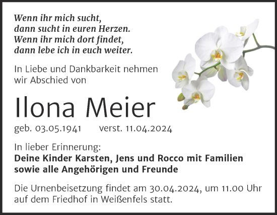 Traueranzeige von Ilona Meier von Trauerkombi Weißenfels