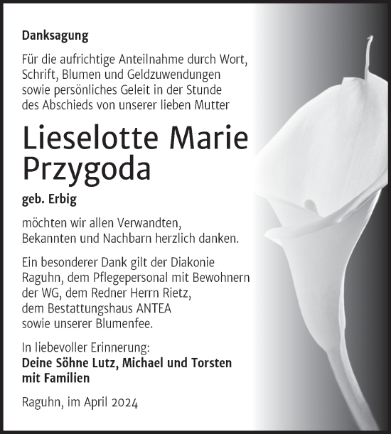 Traueranzeige von Lieselotte Marie Przygoda von Trauerkombi Bitterfeld