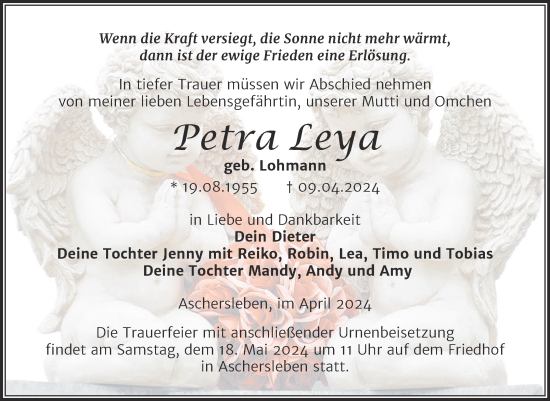 Traueranzeige von Petra Leya von Trauerkombi Aschersleben