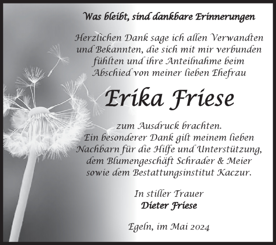 Traueranzeige von Erika Friese von Volksstimme Staßfurt