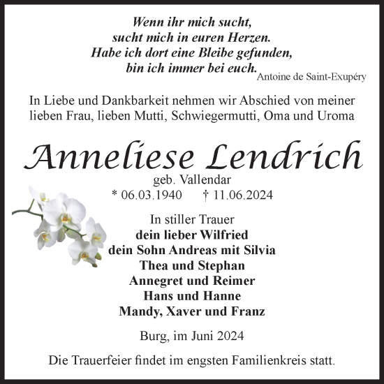 Traueranzeige von Anneliese Lendrich von Volksstimme Burg/Genthin