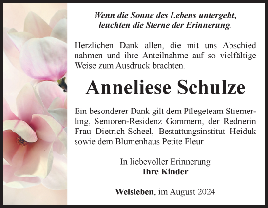 Traueranzeige von Anneliese Schulze von Volksstimme Schönebeck