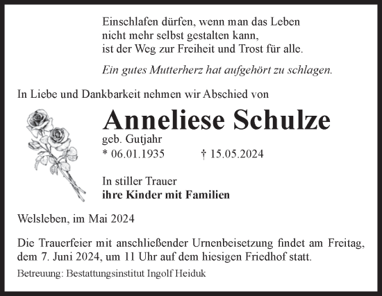 Traueranzeige von Anneliese Schulze von Volksstimme Schönebeck