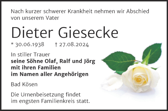 Traueranzeige von Dieter Giesecke von Super Sonntag Naumburg/Nebra