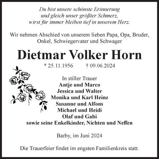 Traueranzeige von Dietmar Volker Horn von Volksstimme Schönebeck