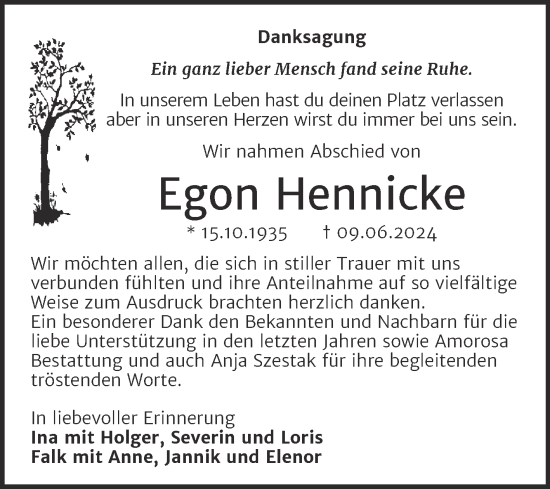 Traueranzeige von Egon Hennicke von Trauerkombi Dessau