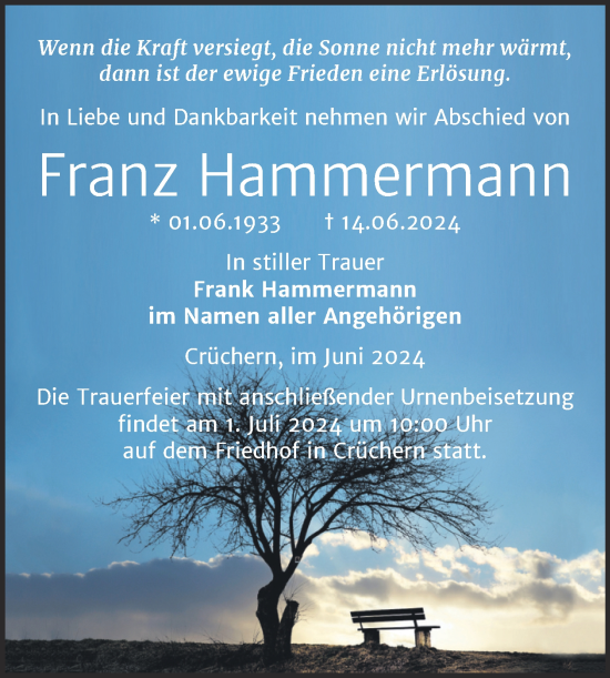 Traueranzeige von Franz Hammermann von Trauerkombi Bernburg