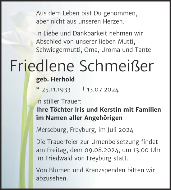 Traueranzeige von Friedlene Schmeißer von Super Sonntag Merseburg/Querfurt