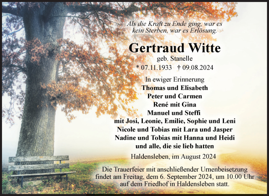 Traueranzeige von Gertraud Witte von Volksstimme Haldensleben/Wolmirstedt