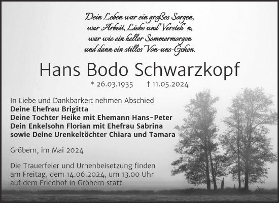 Traueranzeige von Hans Bodo Schwarzkopf von Trauerkombi Bitterfeld