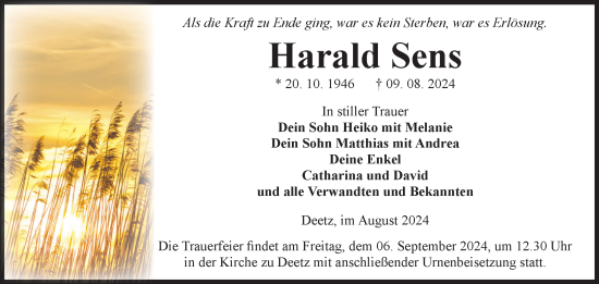 Traueranzeige von Harald Sens von Volksstimme Zerbst