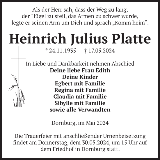 Traueranzeige von Heinrich Julius Platte von Volksstimme Burg/Genthin