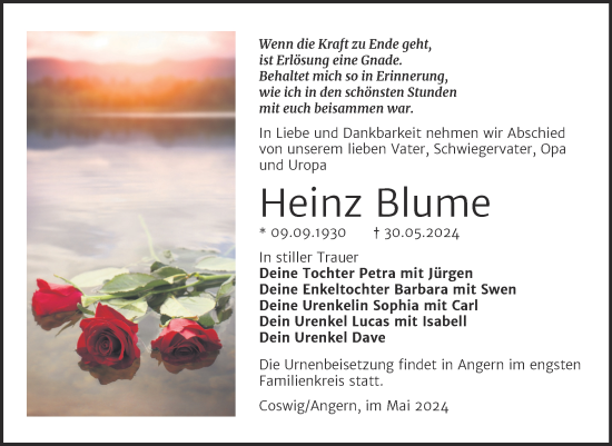Traueranzeige von Heinz Blume von Trauerkombi Wittenberg