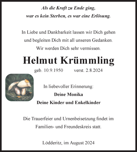 Traueranzeige von Helmut Krümmling von Volksstimme Schönebeck