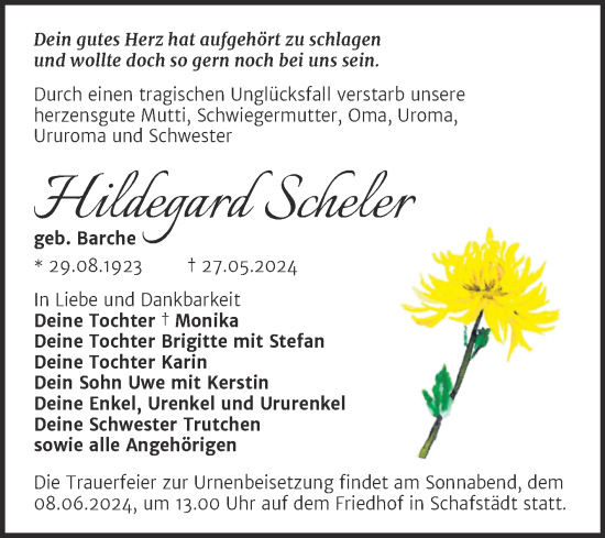 Traueranzeige von Hildegard Scheler von Trauerkombi Merseburg
