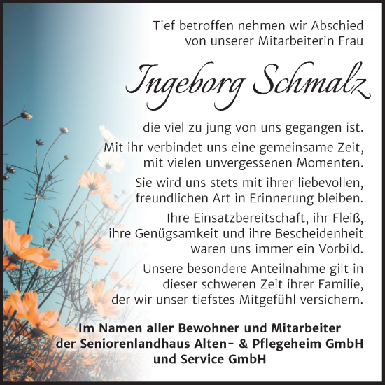 Traueranzeige von Ingeborg Schmalz von Super Sonntag Zeitz