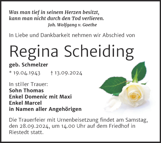 Traueranzeige von Regina Scheiding von Trauerkombi Sangerhausen