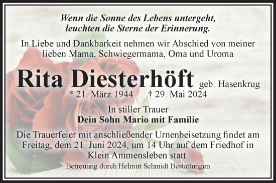 Traueranzeige von Rita Diesterhöft von Volksstimme Haldensleben/Wolmirstedt