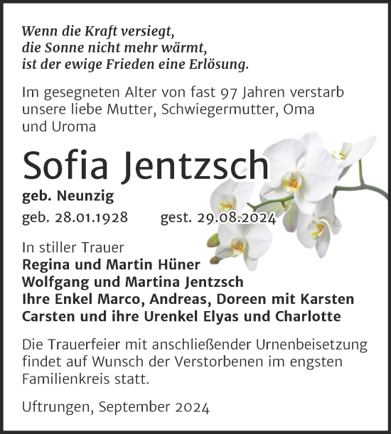 Traueranzeige von Sofia Jentzsch von Trauerkombi Sangerhausen