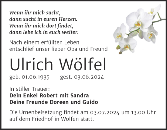Traueranzeige von Ulrich Wölfel von Trauerkombi Bitterfeld