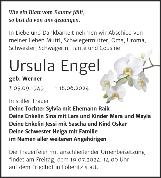 Traueranzeige von Ursula Engel von Trauerkombi Bitterfeld