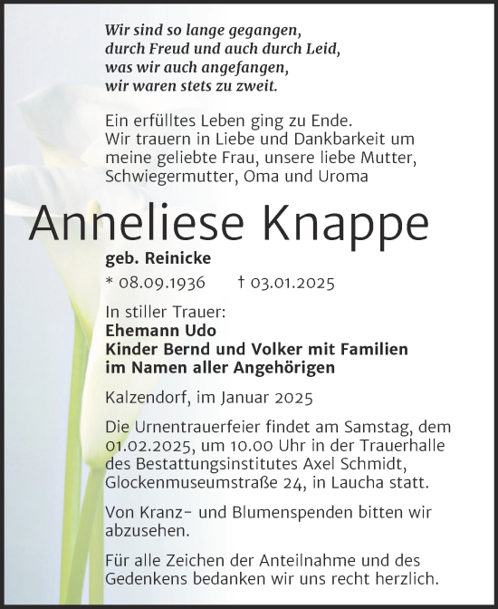 Traueranzeige von Anneliese Knappe von Trauerkombi Merseburg