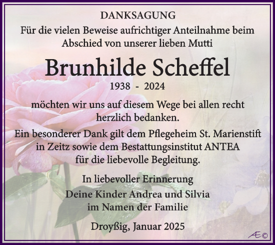 Traueranzeige von Brunhilde Scheffel von Trauerkombi Zeitz
