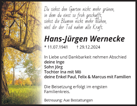 Traueranzeige von Hans-Jürgen Wernecke von Volksstimme Magdeburg