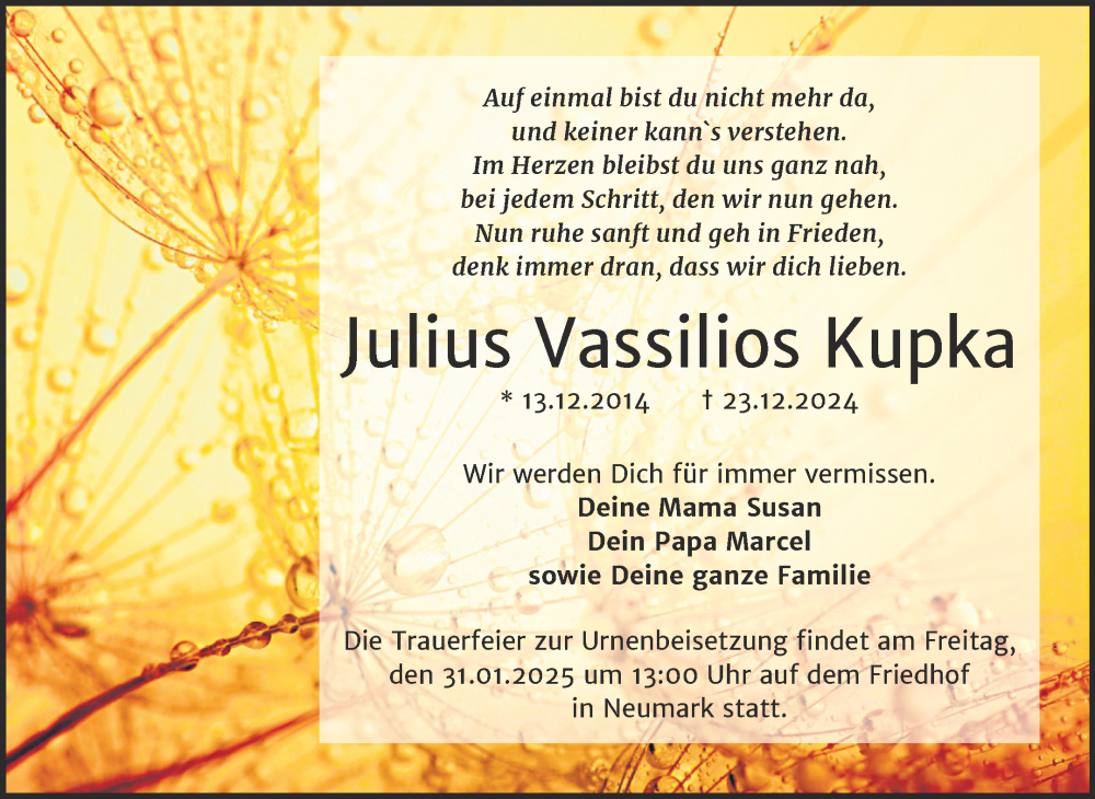  Traueranzeige für Julius Vassilios Kupka vom 18.01.2025 aus Trauerkombi Merseburg