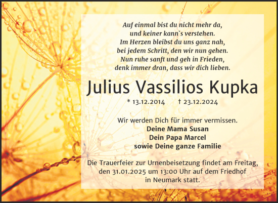 Traueranzeige von Julius Vassilios Kupka von Trauerkombi Merseburg