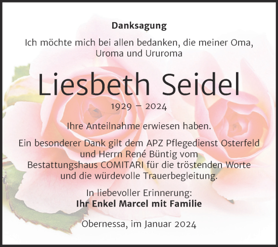 Traueranzeige von Liesbeth Seidel von Trauerkombi Weißenfels