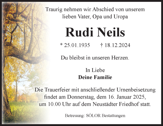 Traueranzeige von Rudi Neils von Volksstimme Magdeburg