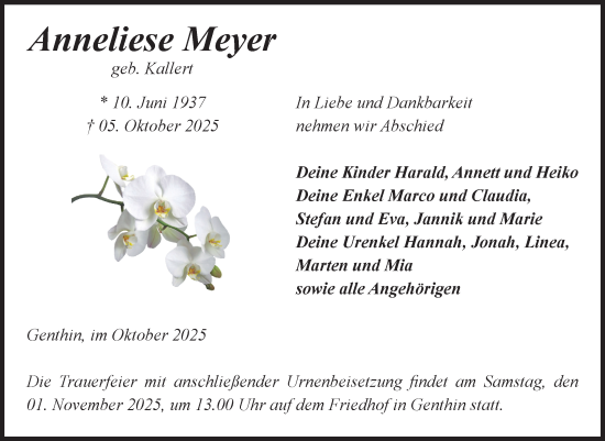 Traueranzeige von Anneliese Meyer von Volksstimme Burg/Genthin