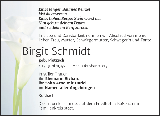 Traueranzeige von Birgit Schmidt von Naumburger Tageblatt